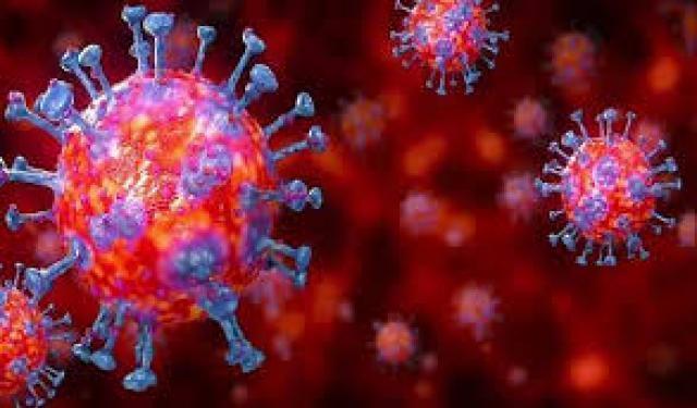  ದೆಹಲಿಯಲ್ಲಿ 381 ಹೊಸ ಪ್ರಕರಣ, ಒಟ್ಟು ಸಂಖ್ಯೆ 6924